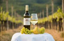 Prague Private Wine Tour