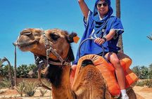 Private Half-Day Guided City Tour of Marrakech