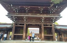 Tokyo Half Walking Day Tour with a Local Expert Guide