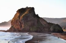 Piha Beach & Wilderness Nature : PRIVATE TOUR 8 hrs 