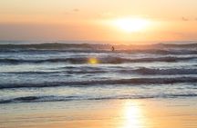 Piha Beach & Wilderness Nature : PRIVATE TOUR 8 hrs 