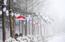 Day Trip to Nami Island with Rail bike and The Garden of Morning Calm