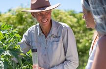 Jurlique Handpicked Masterclass
