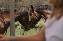 Romantic Horse Trail Ride with Wine and Food in Adelaide Hills