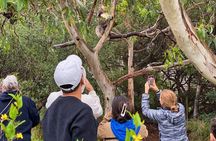 Great Ocean Road Full-Day Sunset Eco Tour from Melbourne