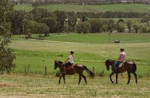 Romantic Horse Trail Ride with Wine and Food in Adelaide Hills
