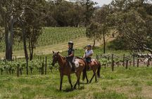 Romantic Horse Trail Ride with Wine and Food in Adelaide Hills