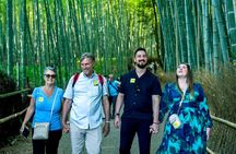 Ancient Capital Tour: Kyoto and Nara Highlights from Kyoto/Osaka