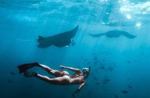 Full Day Nusa Penida Manta Point Snorkeling and West Island Tour