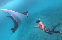 Full Day Nusa Penida Manta Point Snorkeling and West Island Tour