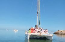 Dolphin and Seal Catamaran Cruise 