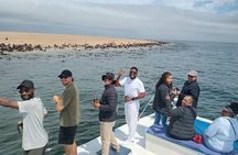 Dolphin and Seal Catamaran Cruise 
