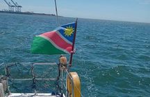 Dolphin and Seal Catamaran Cruise 