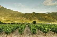 Nemea and Nafplio Wine Roads Private Day Tour