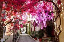 Nemea and Nafplio Wine Roads Private Day Tour