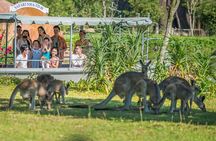 Da Nang: South Hoi An River Safari With Candle-lit Beach Dinner