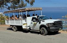 Catalina Island City and Scenic Mt Ada Tour 