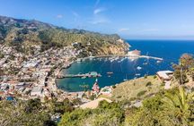 Catalina Island City and Scenic Mt Ada Tour 