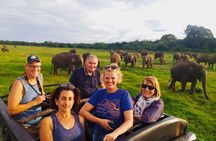 Minneriya Half Day Safari Tour