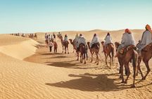 Douz Two Day Camel Trek with Overnight Camp in the Desert
