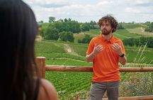 Saint-Emilion Grand Cru Classé: Gourmet Visit in English