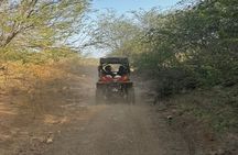 Quad Tour Sal Island