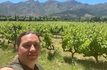 Private Stellenbosch and Franschhoek wine tour