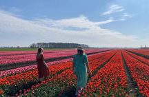 Amsterdam: Tulip Fields Day Tour with Lunch and a Windmill Visit