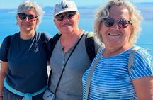 Full-Day Tour:Table Mountain, Cape of Good Hope & Boulders Beach