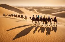 Private Morning safari with Self Ride Quad Bike Camel Ride & more