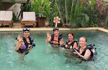 Discover Scuba Dive Catalinas Islands