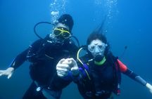 Discover Scuba Dive Catalinas Islands
