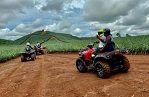Unique Pineapple Farm Tour on 4 wheels