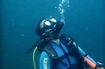 Discover Scuba Dive Catalinas Islands