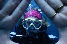 Discover Scuba Dive Catalinas Islands
