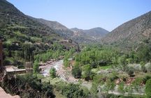 Marrakesh: Atlas Mountains Ourika Valley waterfall & Guide 
