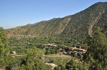 Marrakesh: Atlas Mountains Ourika Valley waterfall & Guide 