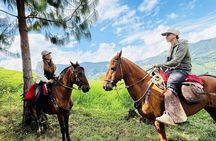 100-Year-Old family-run Finca: Horseback Riding & More