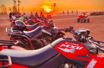 Safari Quad Bike in Marrakech Palmeraie and Desert
