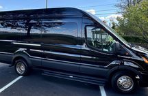 3 Hour Luxury Van Tour With Breakers Admission