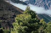 Elite Experience Atlas Mountains Day Trekking