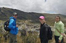 Chingaza National Park Day Tour from Bogotá: Andean Wilderness