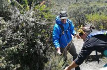 Chingaza National Park Day Tour from Bogotá: Andean Wilderness