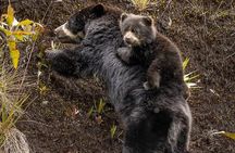 Chingaza National Park Day Tour from Bogotá: Andean Wilderness