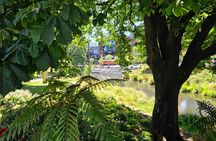 Christchurch Secret Inner City Walking Tour and Hidden Gems