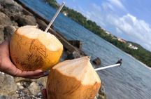 Ocho Rios Sightseeing Tours and Shopping