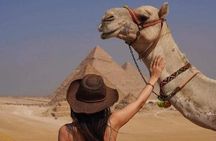 The Grand Egyptian Museum: Private Night Discovery with an Expert