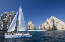 Cabo Whale Watching Cruise