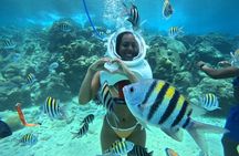 St Maarten SeaTrek and Snorkeling Adventure 