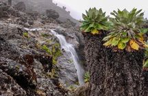 Mount Kilimanjaro Trek 8 days Lemosho Route